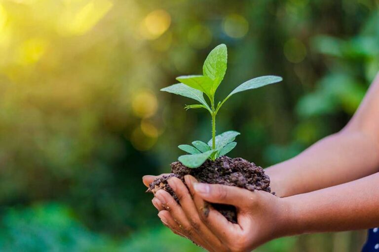 Peran Strategis Dinas Lingkungan Hidup Kota Blitar dalam Mengelola Kualitas Lingkungan Berkelanjutan