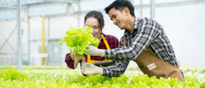 Rekomendasi Tukang Taman Bekasi untuk Hunian dan Perkantoran