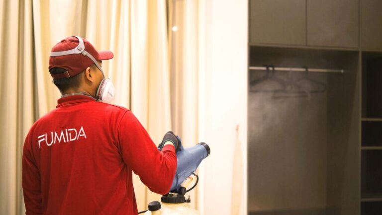 Solusi Efektif untuk Masalah Rayap: Pilihan Jasa Anti Rayap Bandung dan Jasa Basmi Rayap Bandung