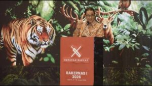 Deforestasi Legal Tinggi: Hentikan Kerusakan Hutan Sebelum Terlambat